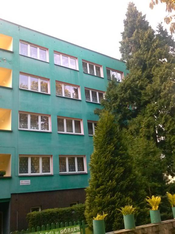 Auberge de jeunesse Pod Zielonym Kogutem à Duszniki Zdrój Extérieur photo